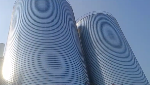 玉环2座混凝土高架卷板仓